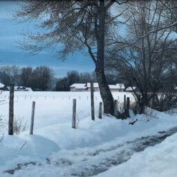 Peinture à l'huile sur toile réalisée par Michel Trapezaroff